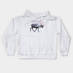 Nadolig Llawen Kids Hoodie